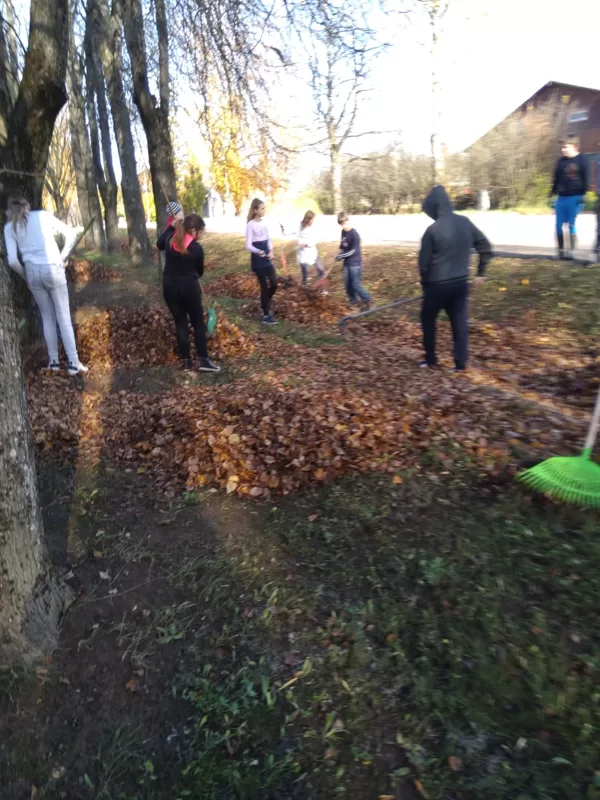 6. klase